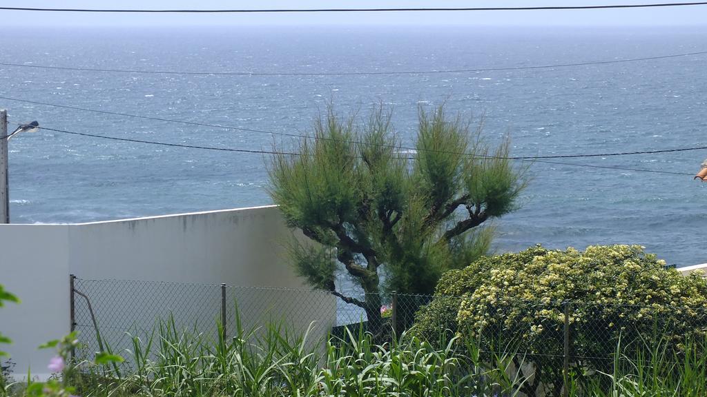 Santa Cruz Ocean Apartment - II Santa Cruz (Oeste) Exterior foto